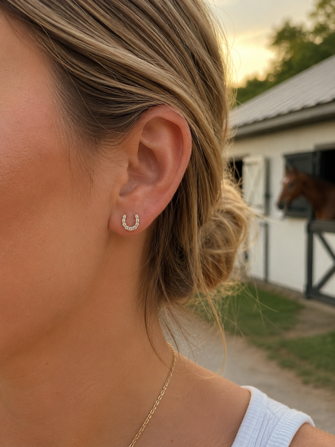 Horseshoe Stud